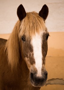 38FC9324-9E4A-46DB-8077-CD267DB0C63C