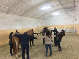 518D8DB9-A8F0-42CB-B698-11C09F5652A9