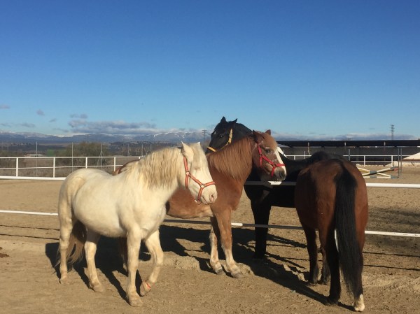 58FDCEFC-C37D-4315-83BA-A5C02F145E5F