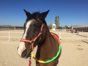 CC6920FD-4542-46CC-B264-ECCD0EFF99C8