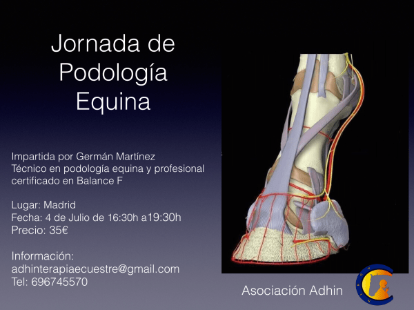 960B1FD1-22BD-4245-A0E8-ACA86E72542B