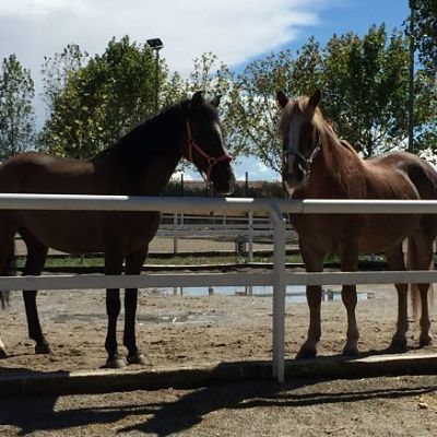 La imagen tiene un atributo ALT vacío; su nombre de archivo es jaqueton-y-rubio_opt-1.jpg